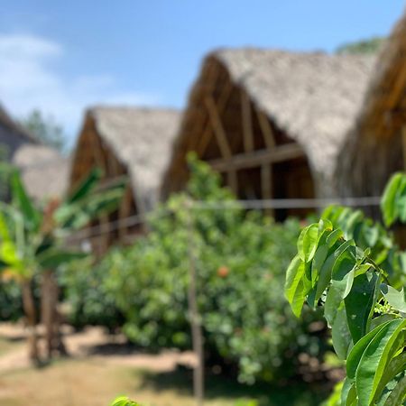Hostal La Finquita Palomino Εξωτερικό φωτογραφία