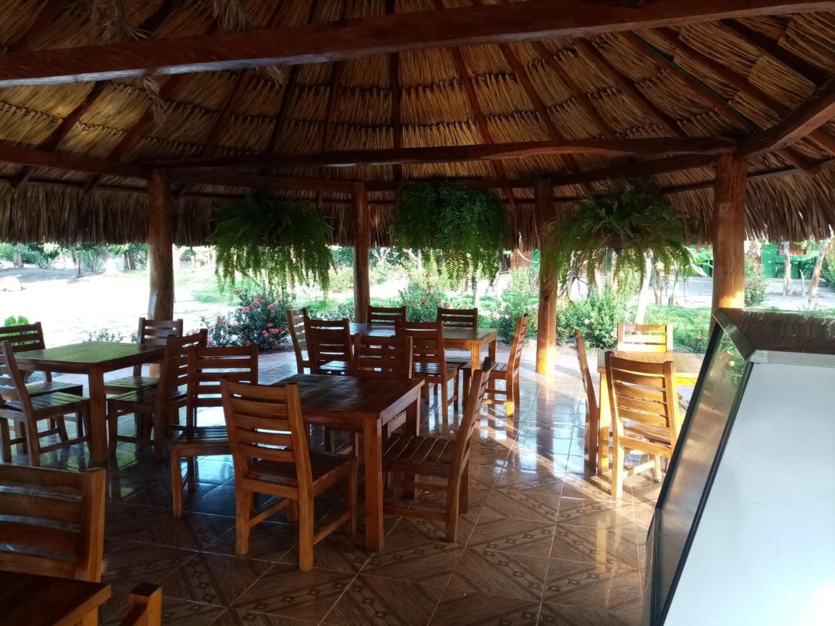 Hostal La Finquita Palomino Εξωτερικό φωτογραφία