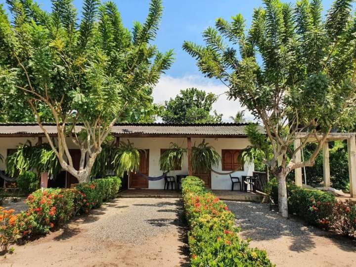 Hostal La Finquita Palomino Εξωτερικό φωτογραφία