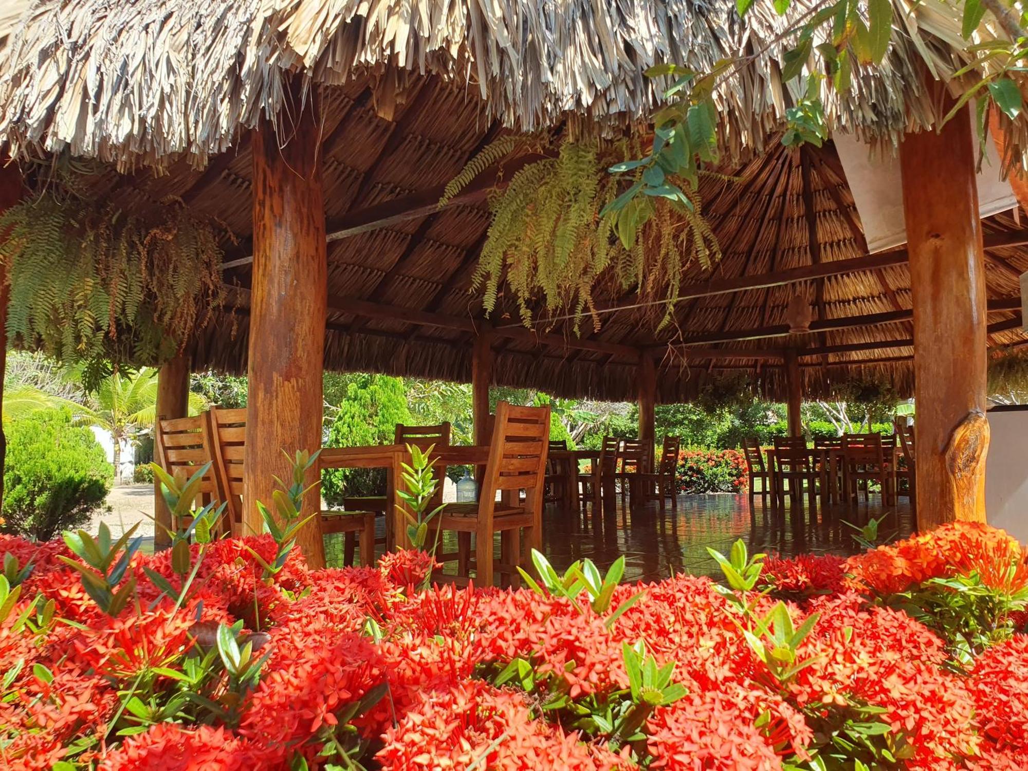 Hostal La Finquita Palomino Εξωτερικό φωτογραφία