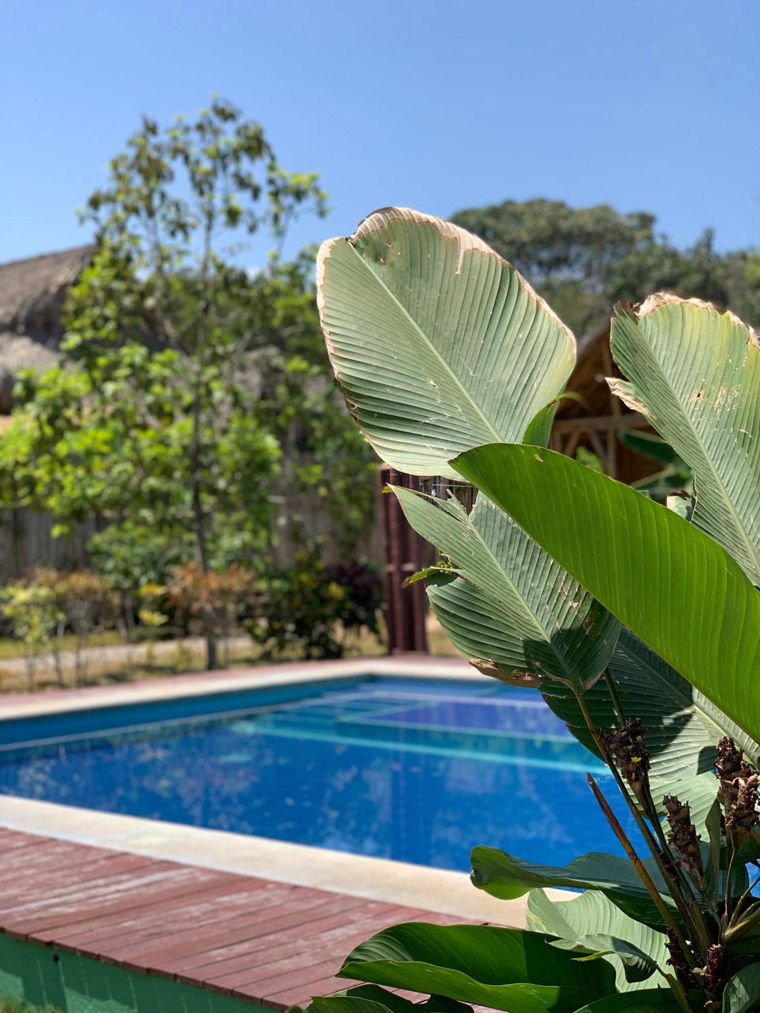 Hostal La Finquita Palomino Εξωτερικό φωτογραφία
